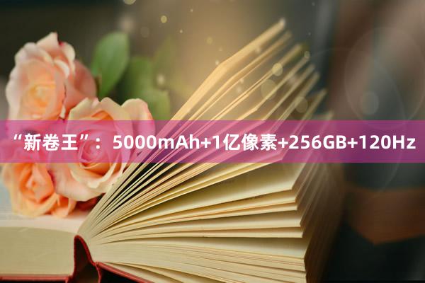 “新卷王”：5000mAh+1亿像素+256GB+120Hz