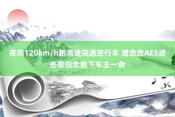 夜间120km/h跑高速突遇逆行车 理念念AES进击变说念救下车主一命