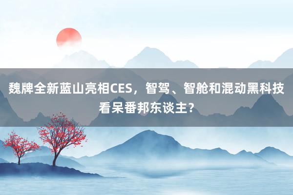 魏牌全新蓝山亮相CES，智驾、智舱和混动黑科技看呆番邦东谈主？