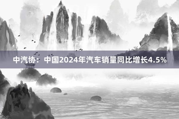 中汽协：中国2024年汽车销量同比增长4.5%