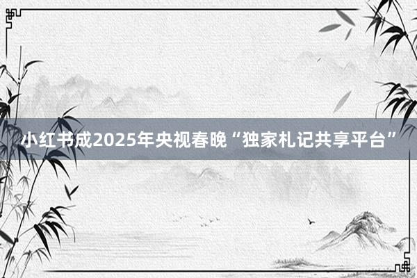 小红书成2025年央视春晚“独家札记共享平台”