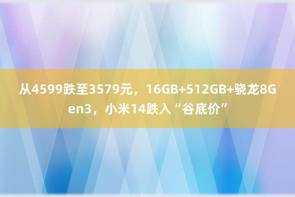 从4599跌至3579元，16GB+512GB+骁龙8Gen3，小米14跌入“谷底价”