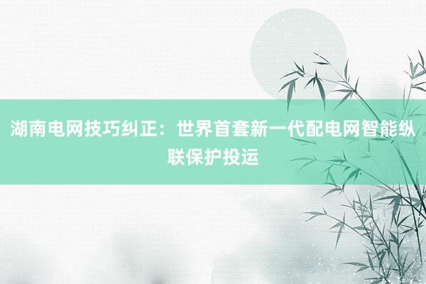 湖南电网技巧纠正：世界首套新一代配电网智能纵联保护投运