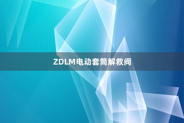 ZDLM电动套筒解救阀