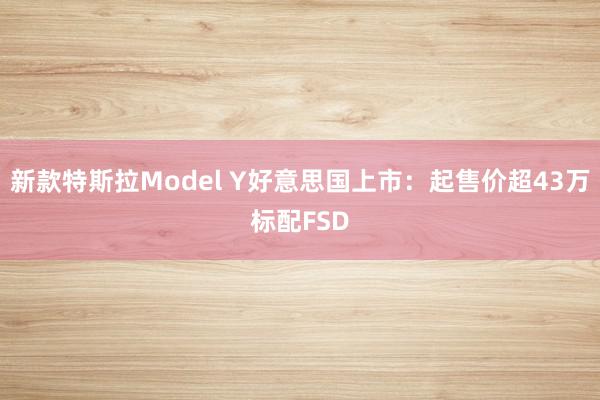 新款特斯拉Model Y好意思国上市：起售价超43万标配FSD