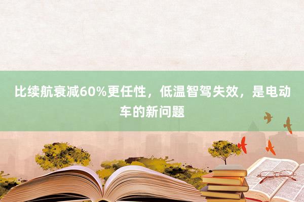 比续航衰减60%更任性，低温智驾失效，是电动车的新问题