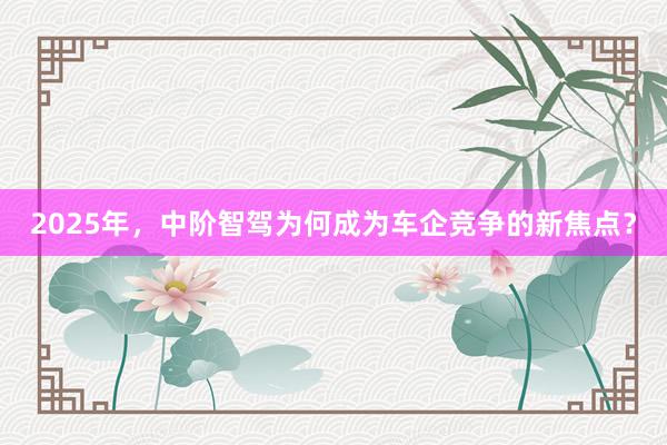 2025年，中阶智驾为何成为车企竞争的新焦点？