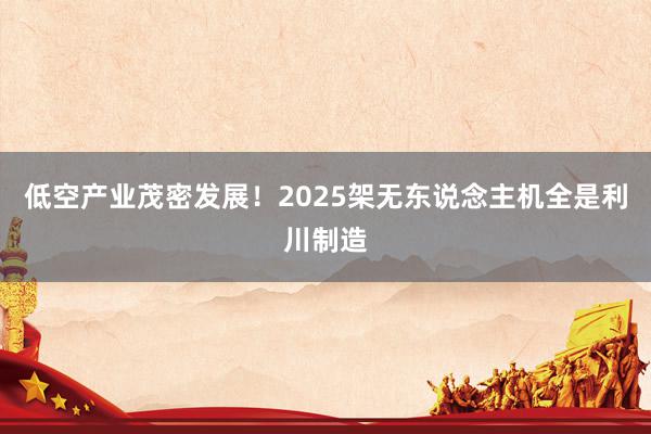 低空产业茂密发展！2025架无东说念主机全是利川制造