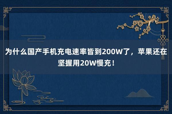 为什么国产手机充电速率皆到200W了，苹果还在坚握用20W慢充！