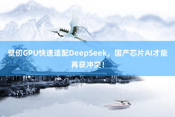 壁仞GPU快速适配DeepSeek，国产芯片AI才能再获冲突！