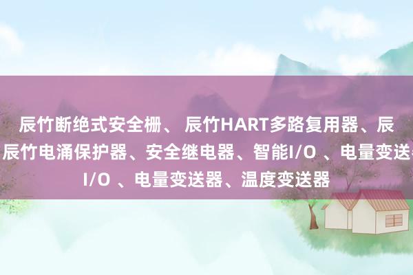 辰竹断绝式安全栅、 辰竹HART多路复用器、辰竹信号断绝器、辰竹电涌保护器、安全继电器、智能I/O 、电量变送器、温度变送器