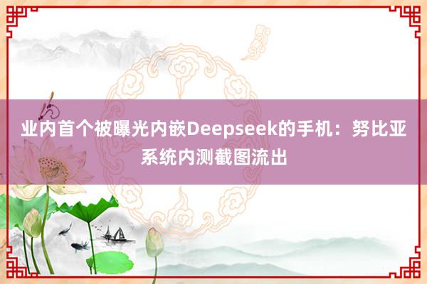 业内首个被曝光内嵌Deepseek的手机：努比亚系统内测截图流出