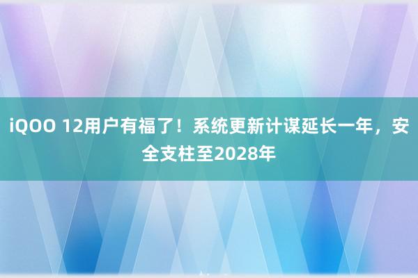 iQOO 12用户有福了！系统更新计谋延长一年，安全支柱至2028年