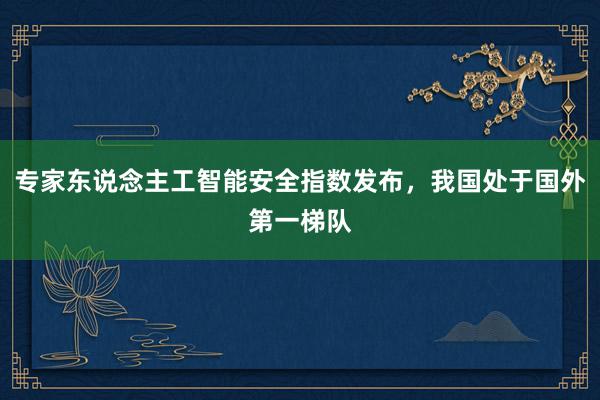 专家东说念主工智能安全指数发布，我国处于国外第一梯队